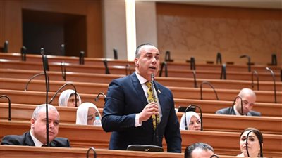 النائب محمد بلتاجي: المرحلة المقبلة تتطلب رؤية واضحة لتعظيم موارد الدولة