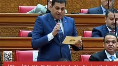 النائب بكر أبو غريب يطالب بمحاسبة المقصرين بعد مصرع 7 أشخاص في ترعة المريوطية
