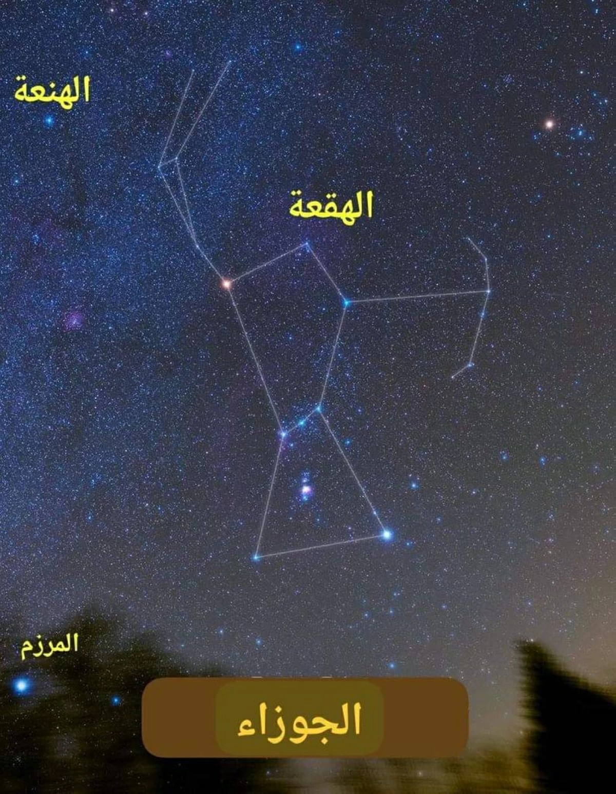 «الإمارات للفلك»: جمرة القيظ من 3 يوليو حتى 10 أغسطس