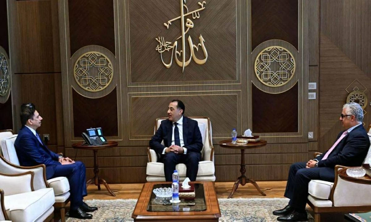 رئيس الوزراء المصري يبحث مع «دي بي ورلد» توسيع استثماراتها بـ «اقتصادية قناة السويس»
