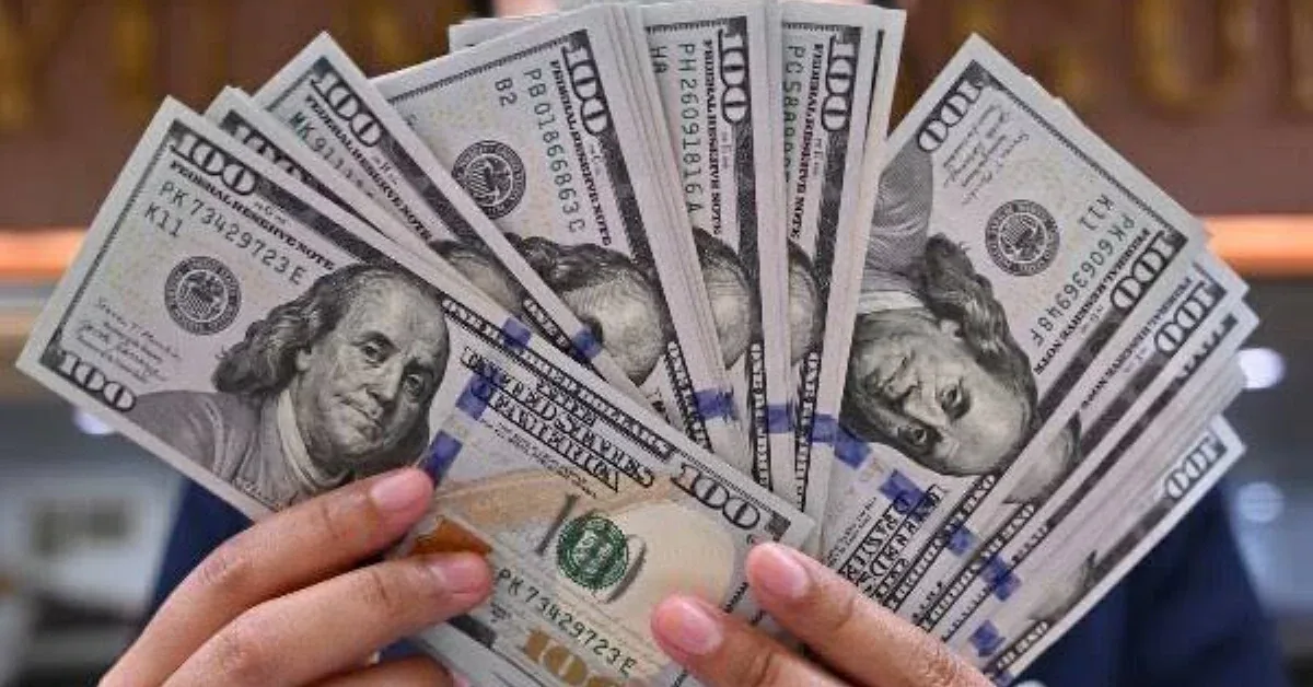 استقرار سعر الدولار في مصر صباح الاثنين 6 يوليو 2026 مع بداية تعاملات البنوك الحكومية