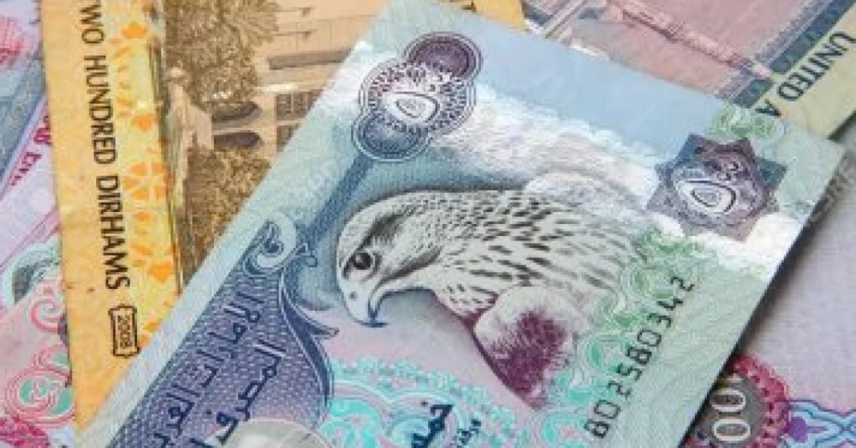 سعر الدرهم الاماراتي يرتفع اليوم في البنوك المصرية مقابل الجنيه