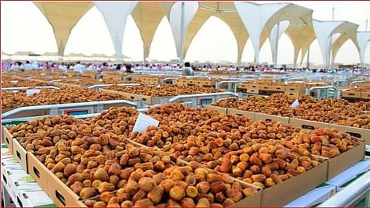 كرنفال بريدة للتمور يبرز أصنافًا نادرة تدعم التنوع الزراعي في القصيم