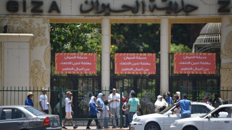موعد افتتاح حديقة الحيوان بالجيزة 2026 بعد تطويرها وسعر التذكرة