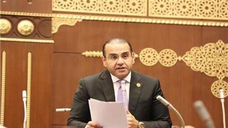 برلماني: توجيهات الرئيس السيسي بإطلاق منصة وطنية للشباب تفتح الطريق أمام الأفكار المبتكرة