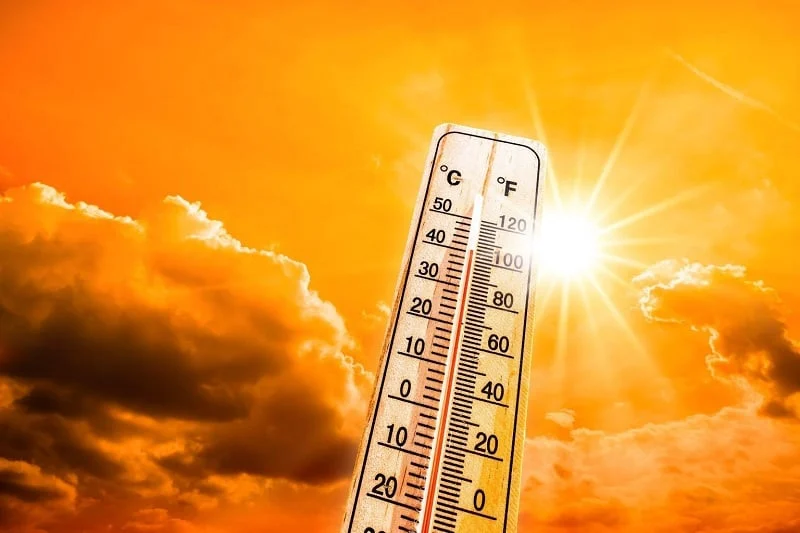 درجات الحرارة غدا..طقس شديد الحرارة رطب والقاهرة 37 درجة -جريدة المال