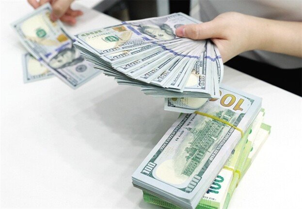 سعر الدولار مقابل الجنيه المصري بختام تعاملات اليوم الجمعة 14 أغسطس 2026 – الأسبوع
