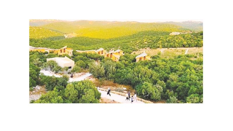 السياحة الداخلية تعزز حضور عجلون على الخارطة السياحية الأردنية