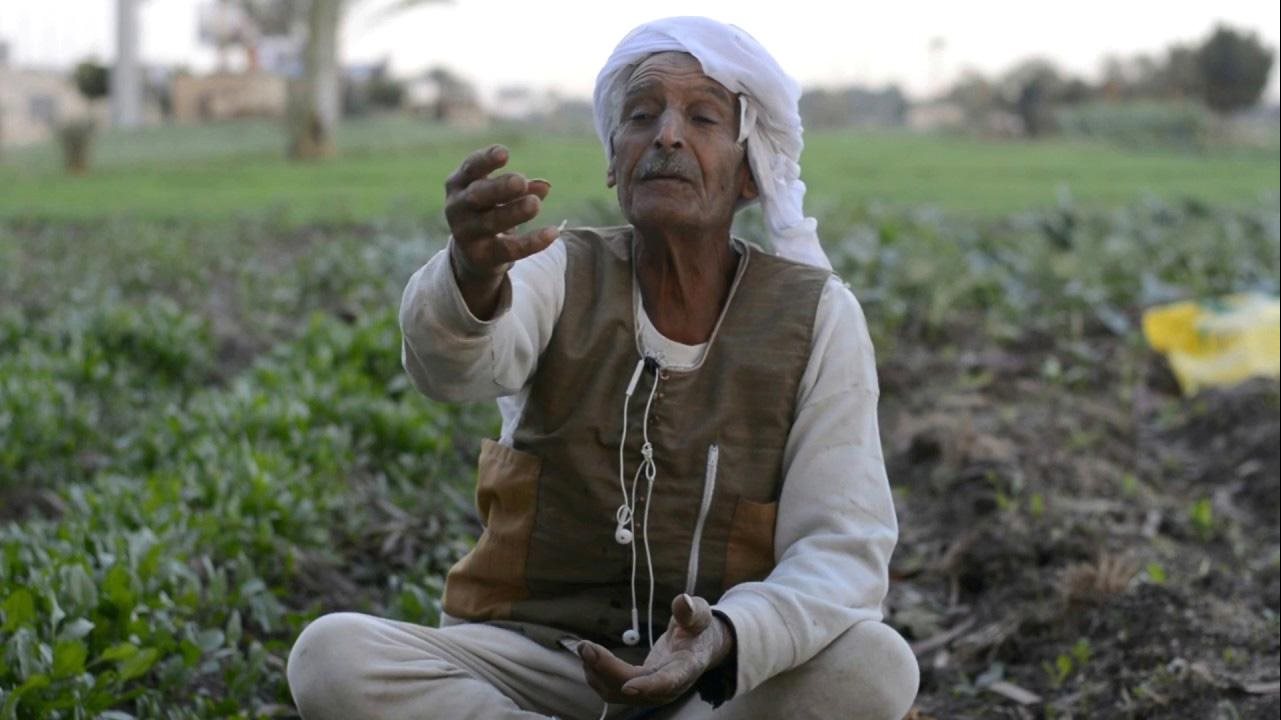 اقتراحات برلمانية لدعم الفلاح وخفض تكاليف الإنتاج وتسويق المحاصيل الزراعية