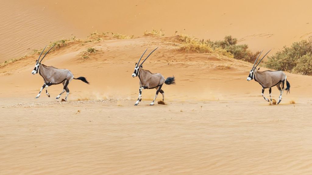 طقس الإمارات غداً.. غائم جزئياً مع احتمال سقوط أمطار خفيفة