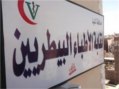 مجانية بالكامل.. نقابة البيطريين تعلن شروط التقديم لقرعة 10 تأشيرات حج
