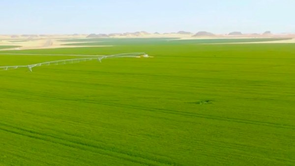 الحكومة البريطانية تعلن عن دعم طارئ بقيمة 65 مليون إسترليني للمزارعين لمواجهة الجفاف