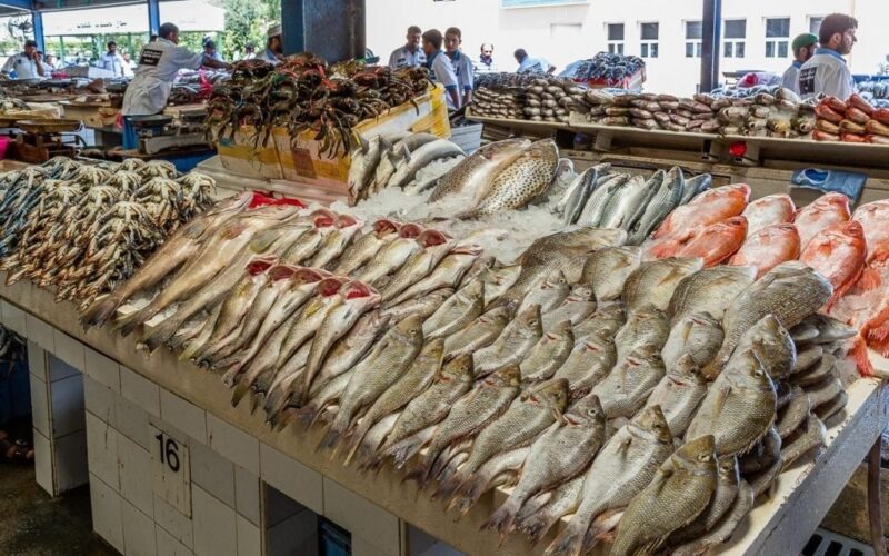أسعار الأسماك والمأكولات البحرية في الأسواق اليوم الثلاثاء 18 أغسطس