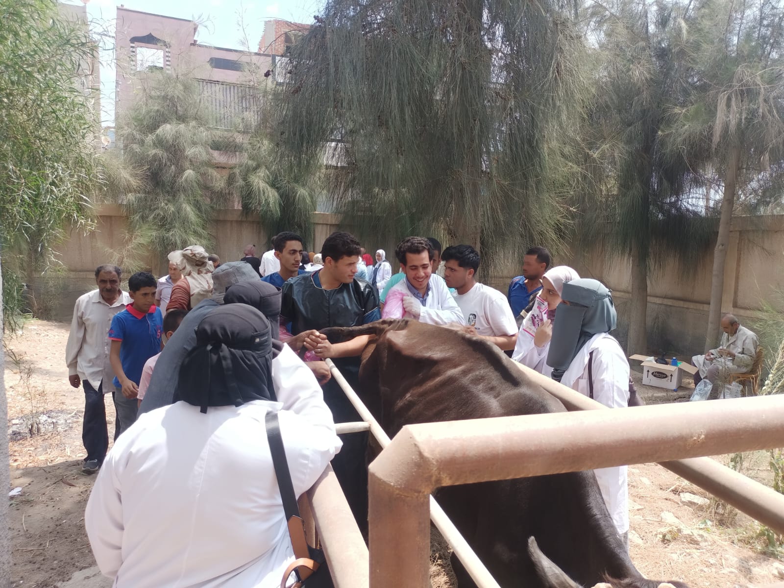 جامعة كفر الشيخ تنظم قافلة بيطرية مجانية للكشف على 3936 حالة بقرية حصة الغنيمي | صور