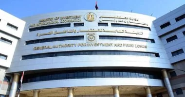 الاستثمار في تكنولوجيا المعلومات والاتصالات.. القانون يحدد حوافز للمستثمرين