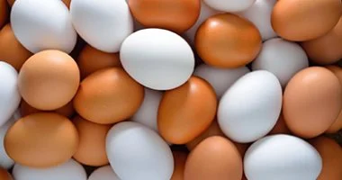 كرتونة البيض بكام؟.. أسعار البيض بكفر الشيخ الجمعة 14 أغسطس 2026