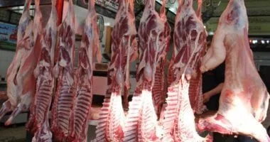 أسعار اللحوم اليوم الأربعاء 12-8-2026 بأسواق مطروح.. الضانى بـ 500 جنيه