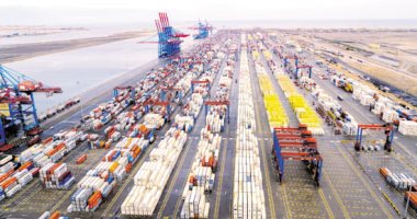 مصر تتصدر صادرات الفراولة المجمدة عالميا بـ690 مليون دولار فى 2025