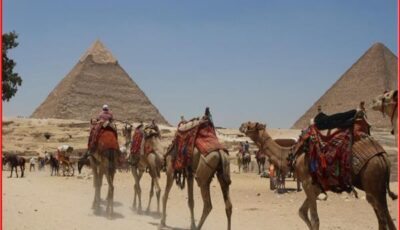 تجربة سياحية بمعايير عالمية.. كيف تعيد الدولة تنظيم خدمات أهرامات الجيزة؟
