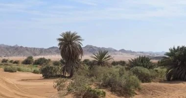 وادى مليحة بالغردقة.. واحة طبيعية نادرة فى قلب الصحراء الشرقية.. صور