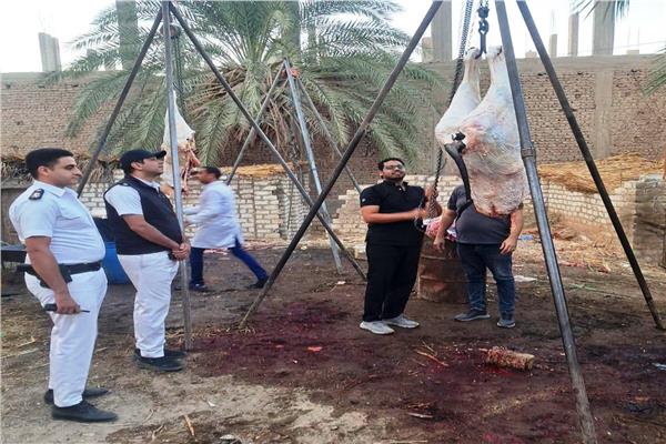 ضبط طن لحوم غير صالحة للاستهلاك الآدمي بسوهاج 