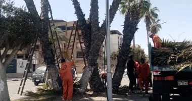 جهاز التطوير والتجميل يواصل رفع كفاءة وتجميل شوارع وميادين الإسماعيلية