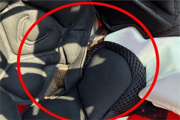 مفاجأة داخل الخوذة.. لاعب كرة قدم يتدرب ساعة كاملة وثعبان سام بجوار رأسه
