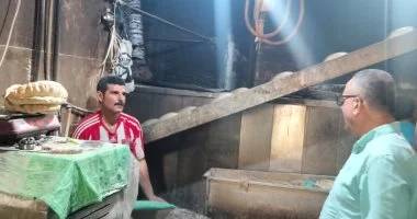 ضبط 4.2 طن سلع مجهولة المصدر وتحرير 205 مخالفات في يوم واحد بالدقهلية