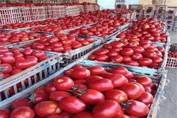 أسعار الخضروات في سوق العبور للجملة اليوم السبت 15 أغسطس