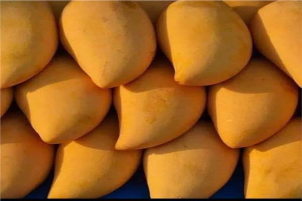 أسعار الفاكهة اليوم السبت 15 أغسطس فى سوق العبور للجملة
