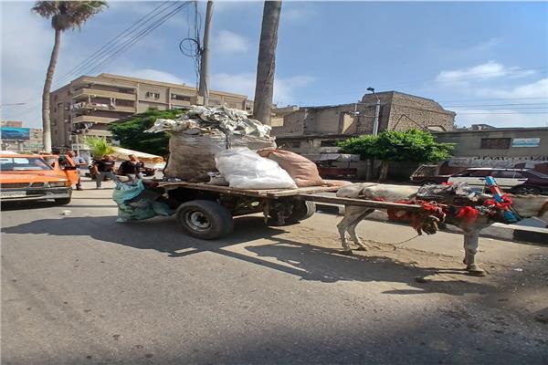 محافظ الدقهلية يتابع حملة حي غرب المنصورة للتصدي لظاهرة “النباشين”
