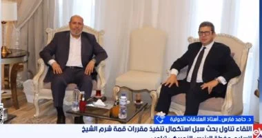 أستاذ علاقات دولية: الرؤية المصرية درع واقية للقضية الفلسطينية