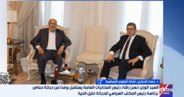 جهاد الحرازين: مصر تكثف جهودها لتثبيت وقف إطلاق النار بغزة