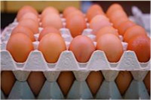 أسعار البيض اليوم الأحد 16 أغسطس بعدد من المزارع المحلية