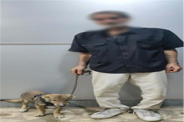 كشف ملابسات فيديو التعدي على كلب داخل مسكنه بالجيزة وضبط مرتكب الواقعة
