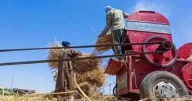 بتر يد مزارع أثناء عمله على درّاسة في ميت غمر بالدقهلية