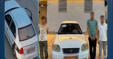 الداخلية تكشف ملابسات تعدي مدمن على والدته بشمال سيناء..فيديو