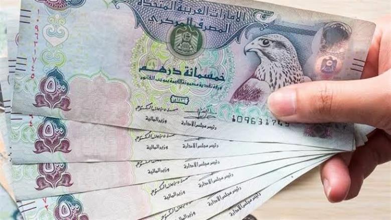 سعر الدرهم الإماراتي مقابل الجنيه المصري اليوم الأربعاء.. تحديث جديد