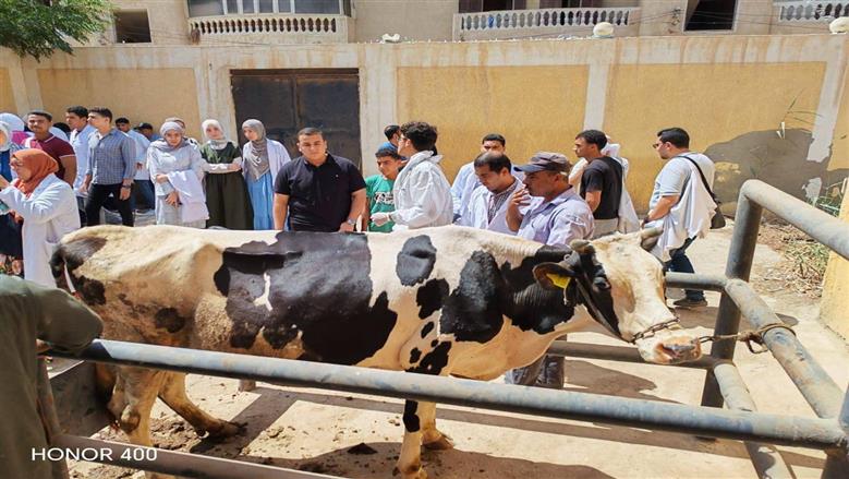 «الزراعة» تطلق 254 قافلة بيطرية مجانية بـ271 قرية خلال شهر.. خدمات متنوعة