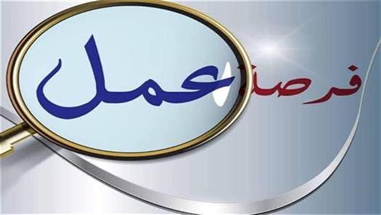 فرص عمل للإناث براتب يصل إلى 15 ألف جنيه في عدة تخصصات.. الشروط والمزايا