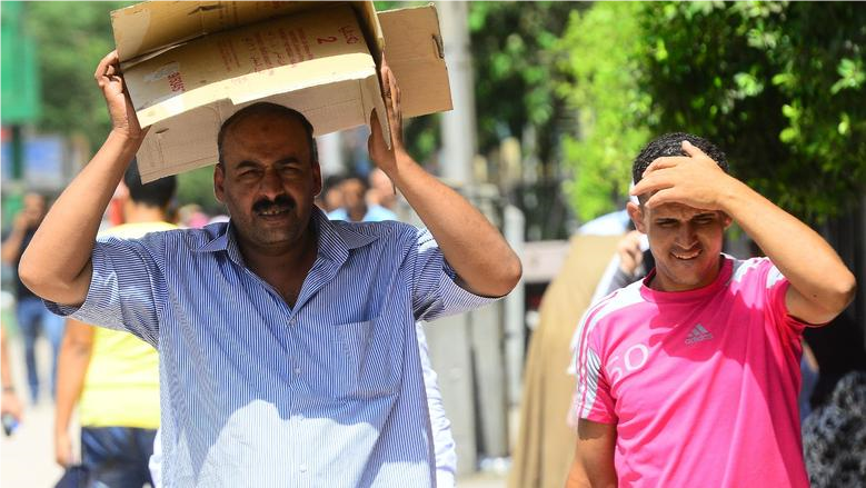بعد انكسار موجة الحر.. «الزراعة» تحذر من الآفات وتوجه نصائح للمزارعين