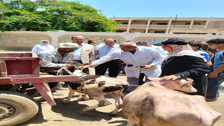 «الزراعة» تنفذ 254 قافلة بيطرية مجانية للقرى الأكثر احتياجا