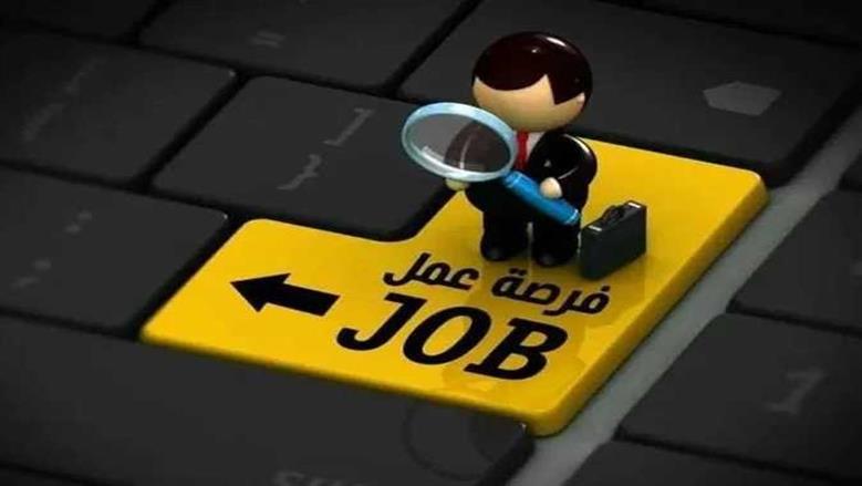 وظائف شاغرة برواتب تصل إلى 20 ألف جنيه.. تعرف على التخصصات والشروط
