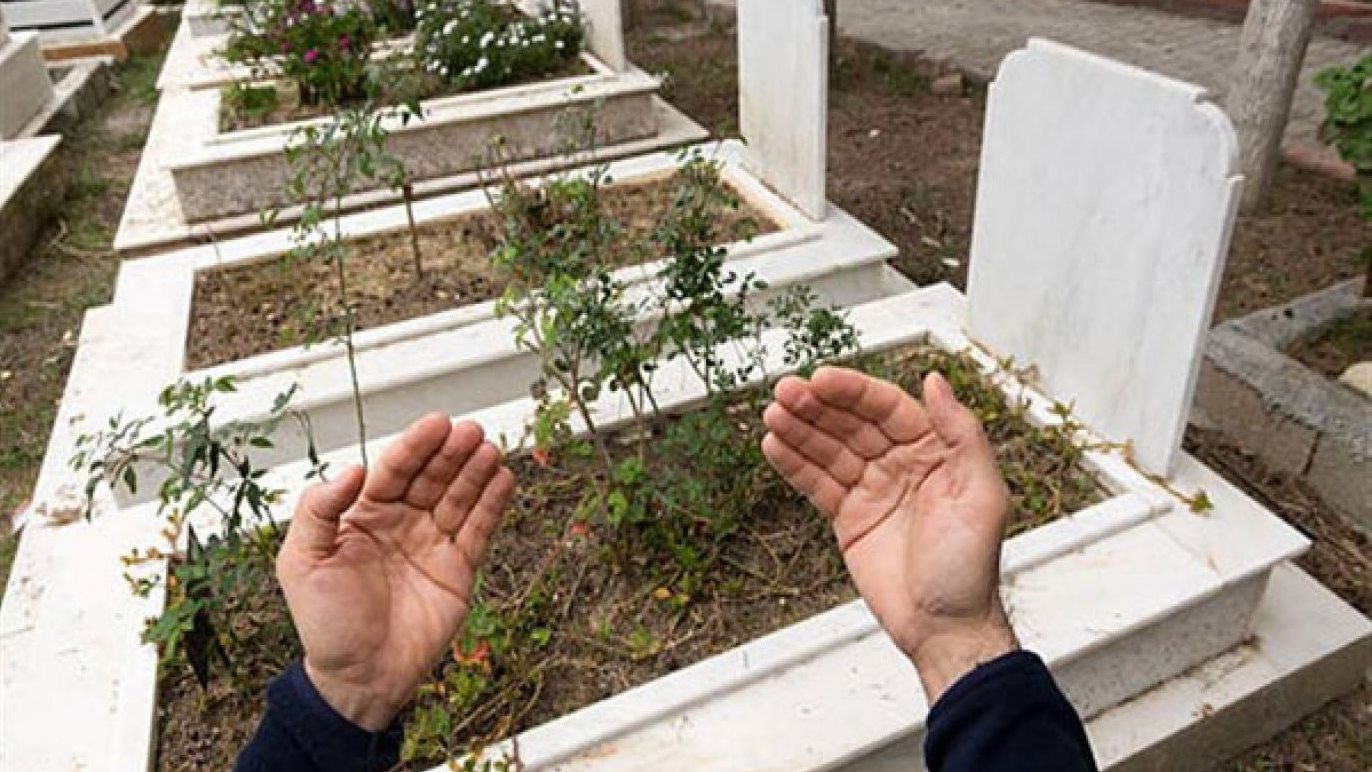 هل وضع غصن أخضر على القبر يخفف عن الميت؟.. أمين الإفتاء يجيب