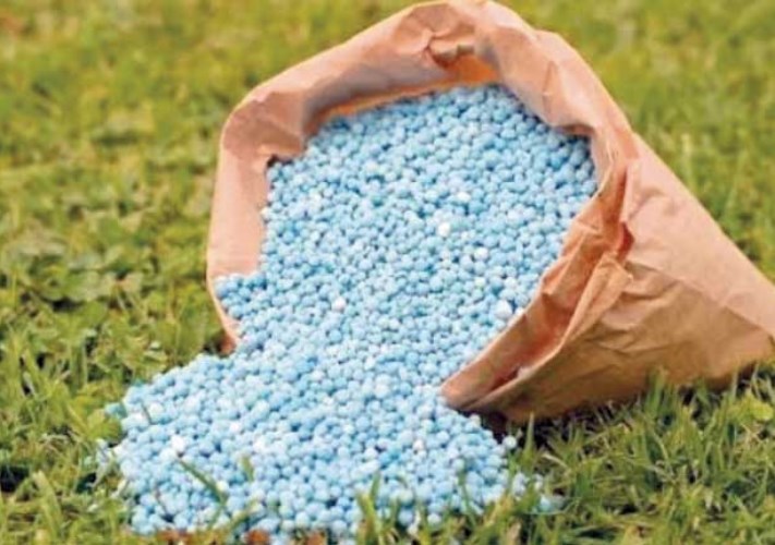 مصادر بـ«الزراعة»: انتظام صرف الأسمدة المدعمة بجميع المحافظات -جريدة المال