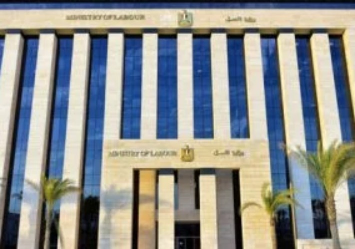 “العمل” تعلن 270 فرصة جديدة بشركة “الطحان جولد داتس”.. تعرف على الشروط