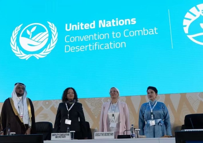 مسئول أممي: بعثة إلى مصر سبتمبر المقبل لجذب استثمارات القطاع الخاص في مكافحة التصحر