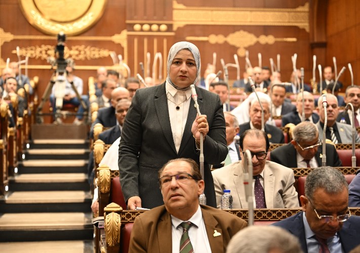برلمانية: نناقش مع اللجنة الوزارية مؤشرات سوق العمل واحتياجاته -جريدة المال