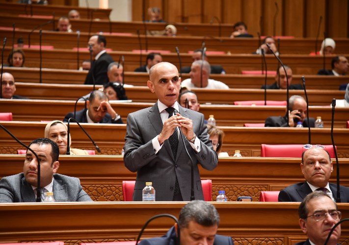 سؤال أمام البرلمان بسبب ملف طرح أرض حديقة سوق روض الفرج للاستثمار -جريدة المال