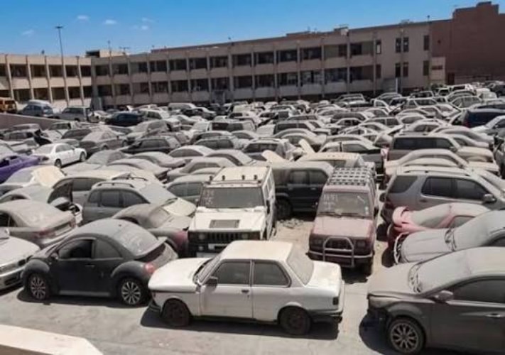 49 مليونًا و563 ألف جنيه حصيلة البيع بجلسة مزاد 13 أغسطس لسيارات جمارك بورسعيد